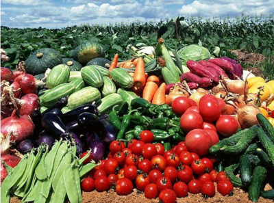 農(nóng)副產(chǎn)品價(jià)格低廉卻無(wú)人收購(gòu)的原因探析